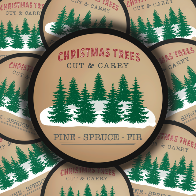Christmas Trees Sticker